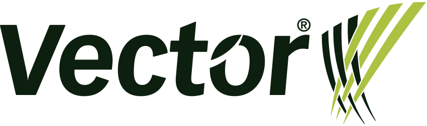 Vector